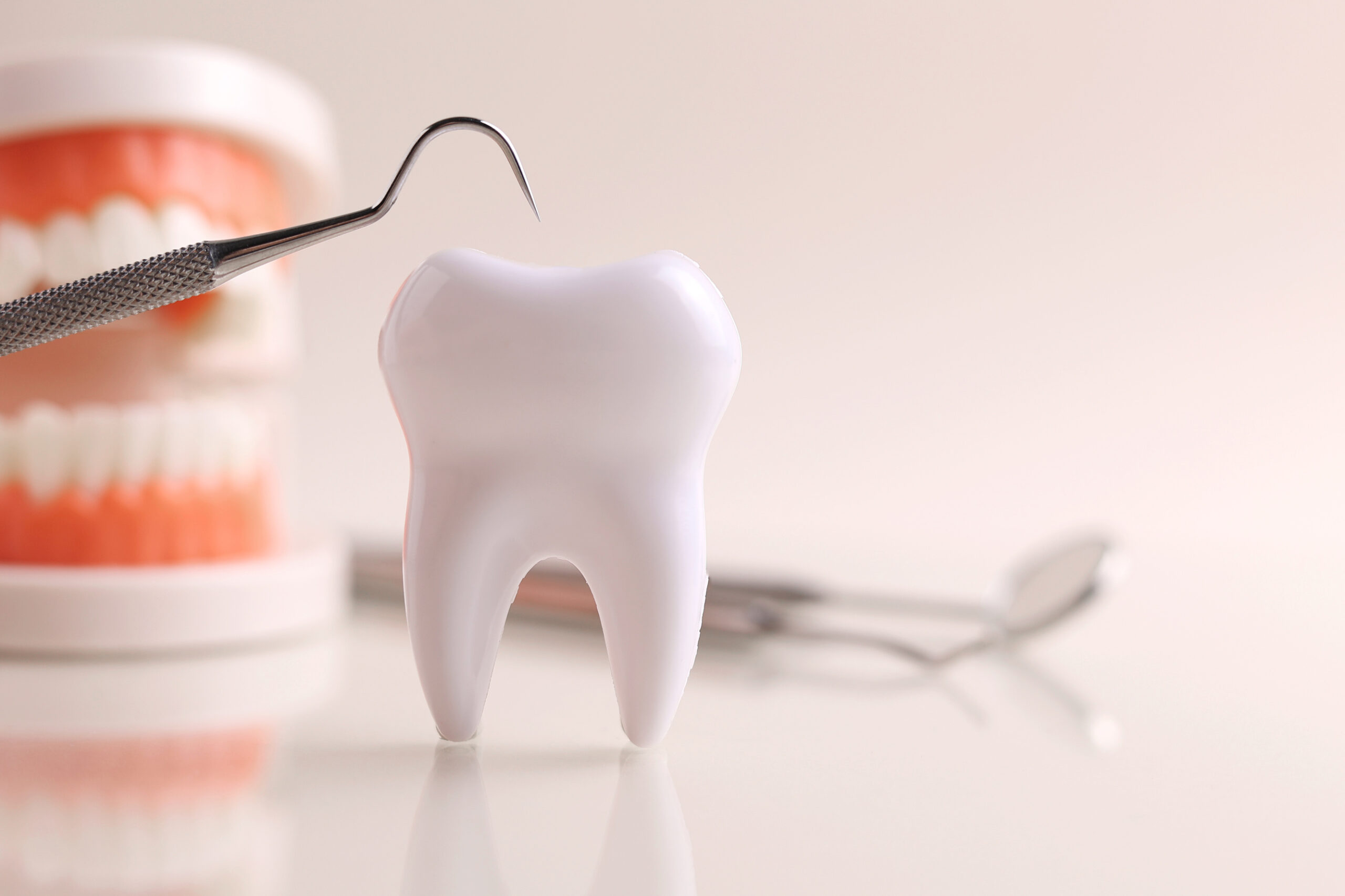 Dentistry concept. Model of a tooth and dental instruments on a colored background with space for text.